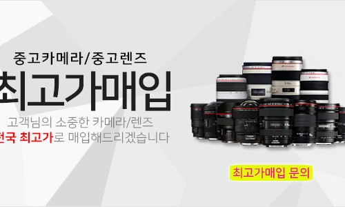 DC클럽 이미지