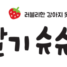 슈슈패밀리 이미지