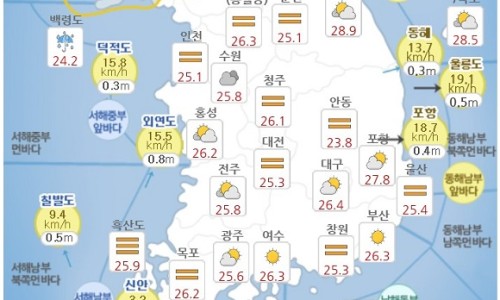 대한건설안전 이미지