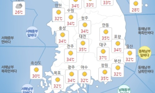 신도포커스 이미지
