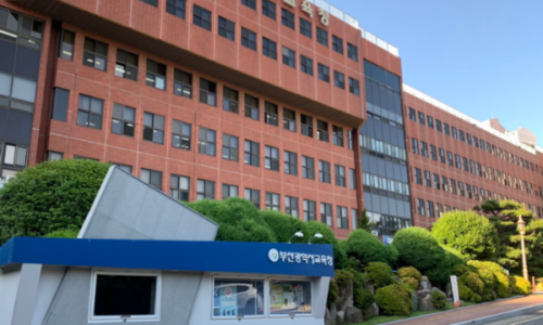 포커스컨설팅 이미지