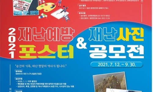 대한시네마 이미지