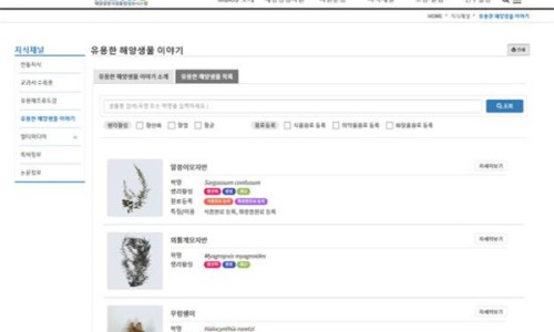 사회적협동조합드림셰어링 이미지
