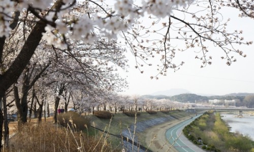성지이발관 이미지