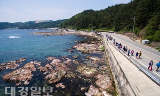 대경기획 이미지