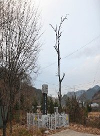 상선고택 이미지