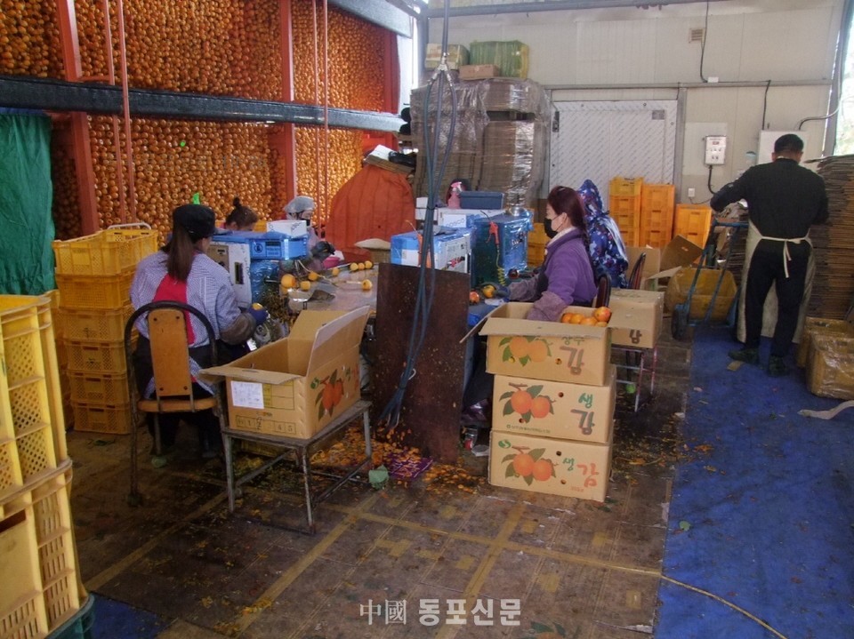 동포여행사 이미지