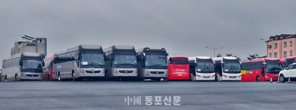 동포여행사 이미지