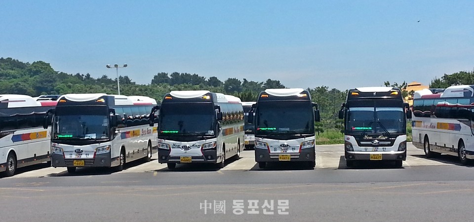 대원항공여행사 이미지