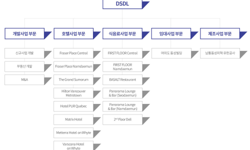 디에스디엘 이미지