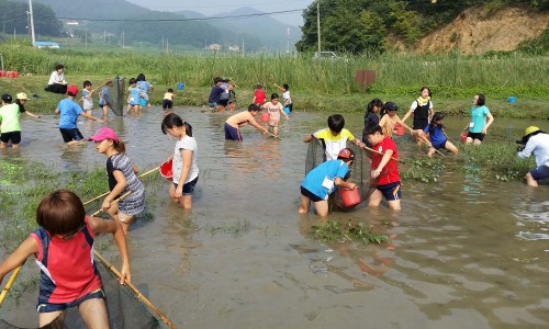 만대어촌체험마을 이미지