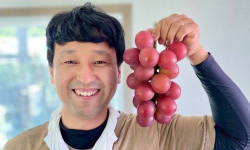 포도상자 이미지