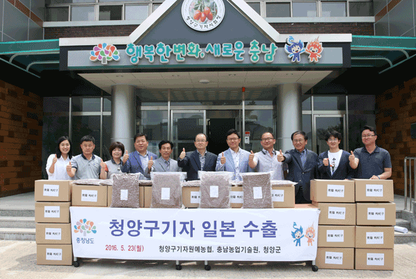 청양구기자 이미지