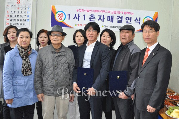 법인농촌사랑 이미지