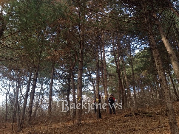 백제컨설팅 이미지