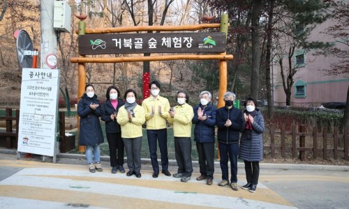 디자인거북골 이미지