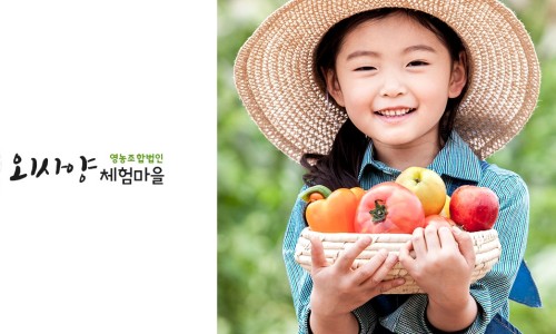 마이산에코타운 이미지