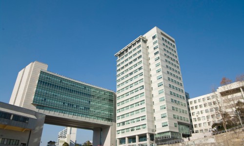 손*권 이미지