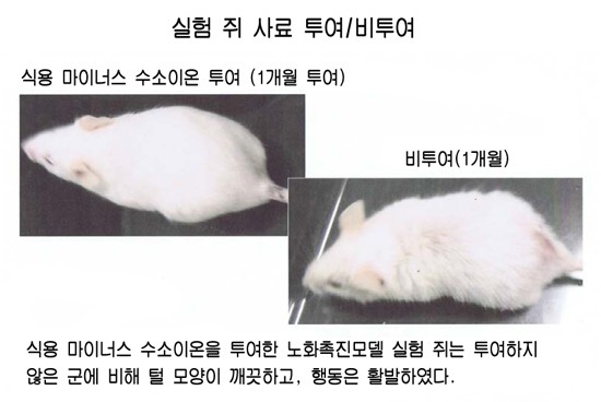 라온식품 이미지