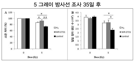 수소수이야기 이미지