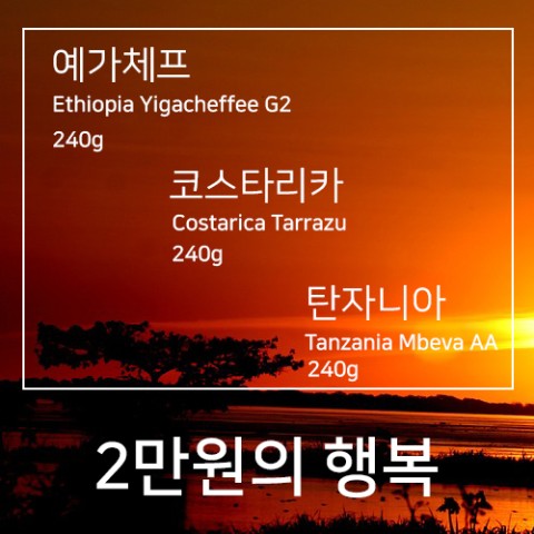 에이플러스커피 이미지
