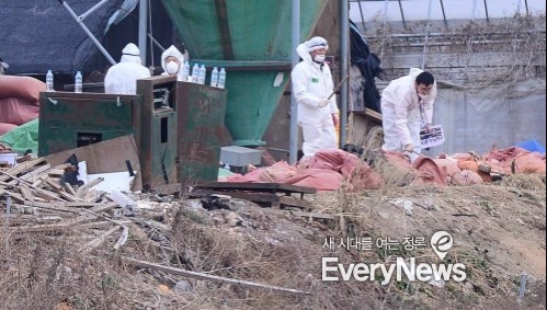 에브리축산 이미지