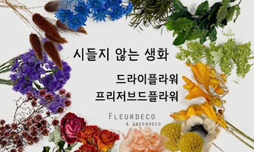 참플레르 이미지