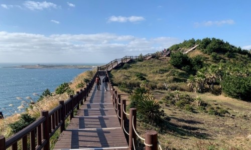 오름푸드 이미지