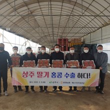 에스지인터네셔널 이미지