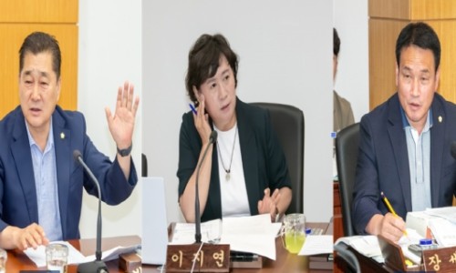 신문기획 이미지