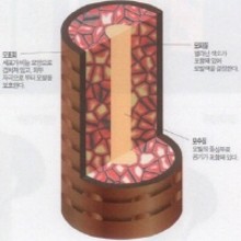 엔젤시스템 이미지