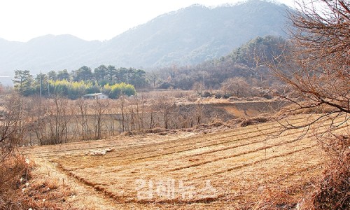 김해스포츠 이미지