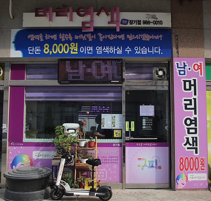 구피염색방 이미지