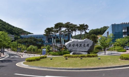 추모공원식당 이미지