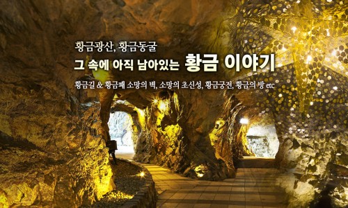 (주)광명관광 이미지