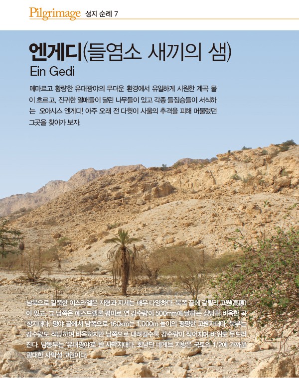 엔게디 이미지