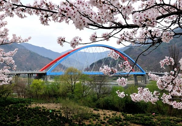 화개밸리 이미지