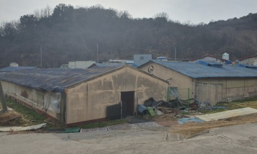 뿌리축산 이미지