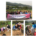 강남세움보호작업장 이미지