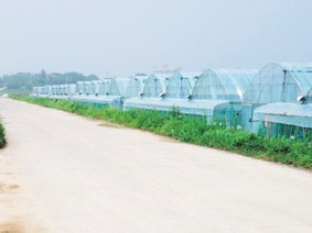 동산식품 이미지