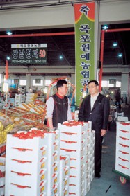 목포원예 농업협동조합 이미지