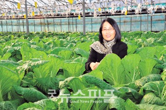 보강농산 이미지