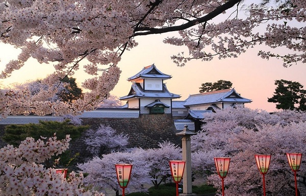 크루즈박사 이미지