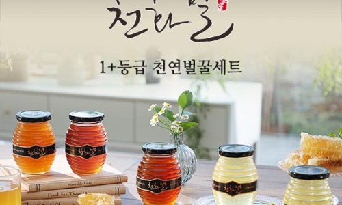 꿀벌랜드 협동조합 이미지