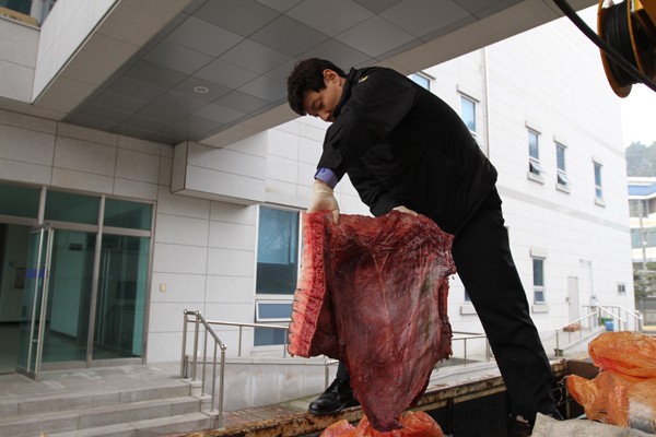 군산앞바다 이미지