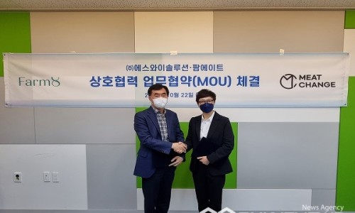 에스와이솔루션 이미지
