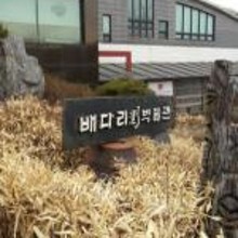 합스카치 이미지