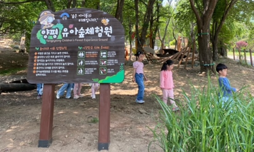 양평 유아숲체험원 이미지