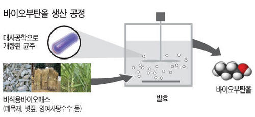 바이오에너지개발 이미지