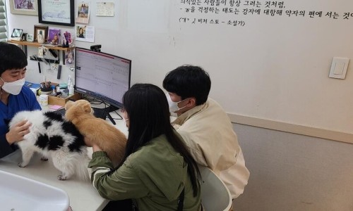 유림전력 이미지